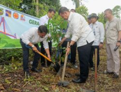 Tanam Pohon, REI Ajak Bergerak untuk Kebaikan