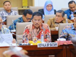 Kepala BP Batam Hadiri RDP Komisi VI DPR RI