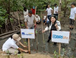 AAJI Gelar Kegiatan Sosial Penanaman Mangrove di Kampung Wisata Bakau Serip Batam