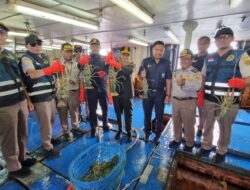 Karantina Kepri Jamin Kesehatan Produk Perikanan Senilai 1,2 Miliar Rupiah Tujuan Hongkong