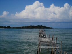 Pulau Pemping Jadi Lirikan Donald Trum, Bakal Dibangun Kilang Minyak Terbesarp