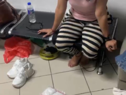 Sales Cantik Selundupan Kiloan Sabu dalam Koper