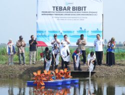 Dari Panikel ke Pasar Dunia: Sidat Cilacap Bersiap Mengguncang Ekspor Internasional