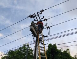 Listrik di Batam Padam Akibat Layang-Layang dan Pohon Tumbang