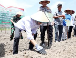 Menanam Harapan di Rempang: Amsakar dan Warga Galang Satukan Langkah untuk Swasembada Pangan