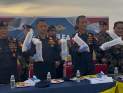 Bea Cukai Gagalkan Penyelundupan 281 Ribu Benih Lobster di Bintan, Nilainya Capai Rp 28 Miliar