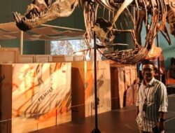 Cukup 30 Dollar, Untuk Mengetahui Dunia “DINOSAURUS” Di Science Center Singapura