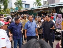 Pengembangan Kawasan Nagoya Baru