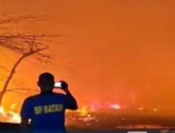 Gudang Pallet Terbakar Hebat di Batam Center, Api Merambat ke Food Street Mega Legenda