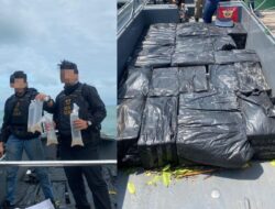 Bea Cukai Batam Gagalkan Penyelundupan 231 Ribu Benih Lobster ke Malaysia