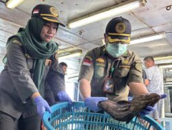 Ekspor Perdana 2026, 8,3 Ton Ikan Asal Natuna Tembus Pasar Hong Kong