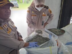 Natuna Kirim 9,2 Ton Ikan Teri Kering, Karantina Kepri Pastikan Aman dan Bermutu