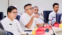 Kunjungan Wisman Awal 2026 Melonjak, Batam Optimistis Dongkrak Pendapatan Daerah dari Sektor Pariwisata