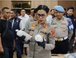 Polda Kepri Gagalkan Penyelundupan Ribuan Benih Lobster Senilai Rp10 Miliar ke Singapura, Dua Orang Diamankan