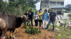 Makna Idul Adha, IJTI Kepri Bangun Solidaritas Lewat Qurban