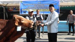 Polresta Barelang Sembelih 42 Hewan Kurban pada Iduladha 1447 H