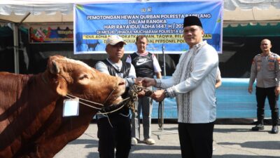 Polresta Barelang Sembelih 42 Hewan Kurban pada Iduladha 1447 H