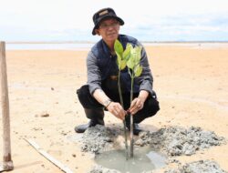 Tanam Mangrove di Pesisir Nongsa, Wali Kota Batam Ajak Generasi Muda Jaga Alam untuk Masa Depan