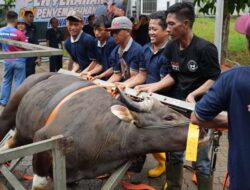 Idul Adha Jadi Momentum Menumbuhkan Kepedulian dan Semangat Berbagi di BP Batam
