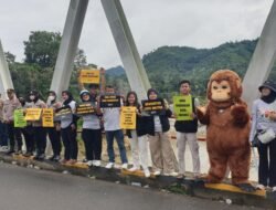 Hari Orangutan Sedunia, Koalisi Masyarakat Sipil Desak Perlindungan Habitat Orangutan Tapanuli