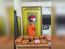 Bawa 20 Kg Ganja, Pria 34 Tahun Ditangkap Satresnarkoba Padangsidimpuan