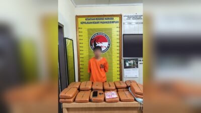 Bawa 20 Kg Ganja, Pria 34 Tahun Ditangkap Satresnarkoba Padangsidimpuan