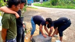 15 Kilogram Ganja Disita di Sayur Matinggi, Polisi Telusuri Pemilik Barang